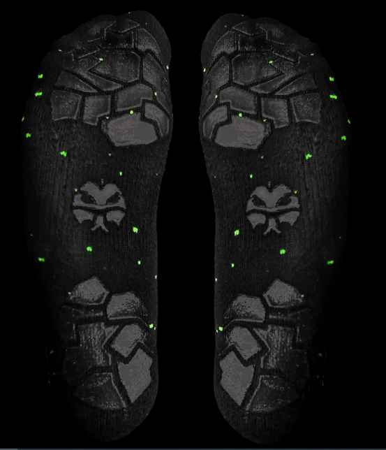 Tuatara socks