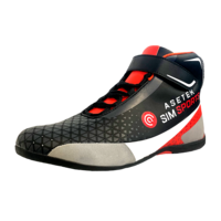 Asetek Simracing shoes
