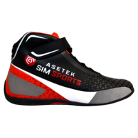 Asetek Simracing shoes