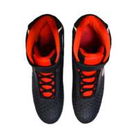 Asetek Simracing shoes