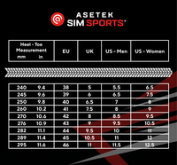 Asetek  Sim Racing Boots