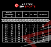 Asetek Sim Racing Boots
